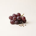 Grape seed