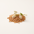 Rutin, from buckwheat