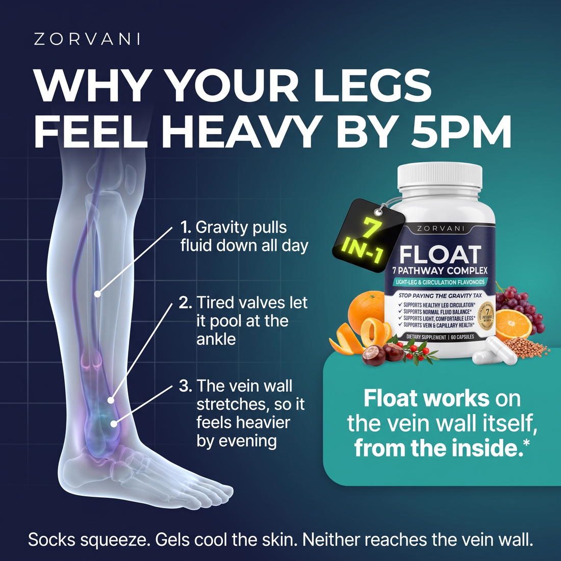 Why your legs feel heavy by 5PM — how gravity, tired valves and the vein wall cause end-of-day heaviness, and how Zorvani Float works on the vein wall